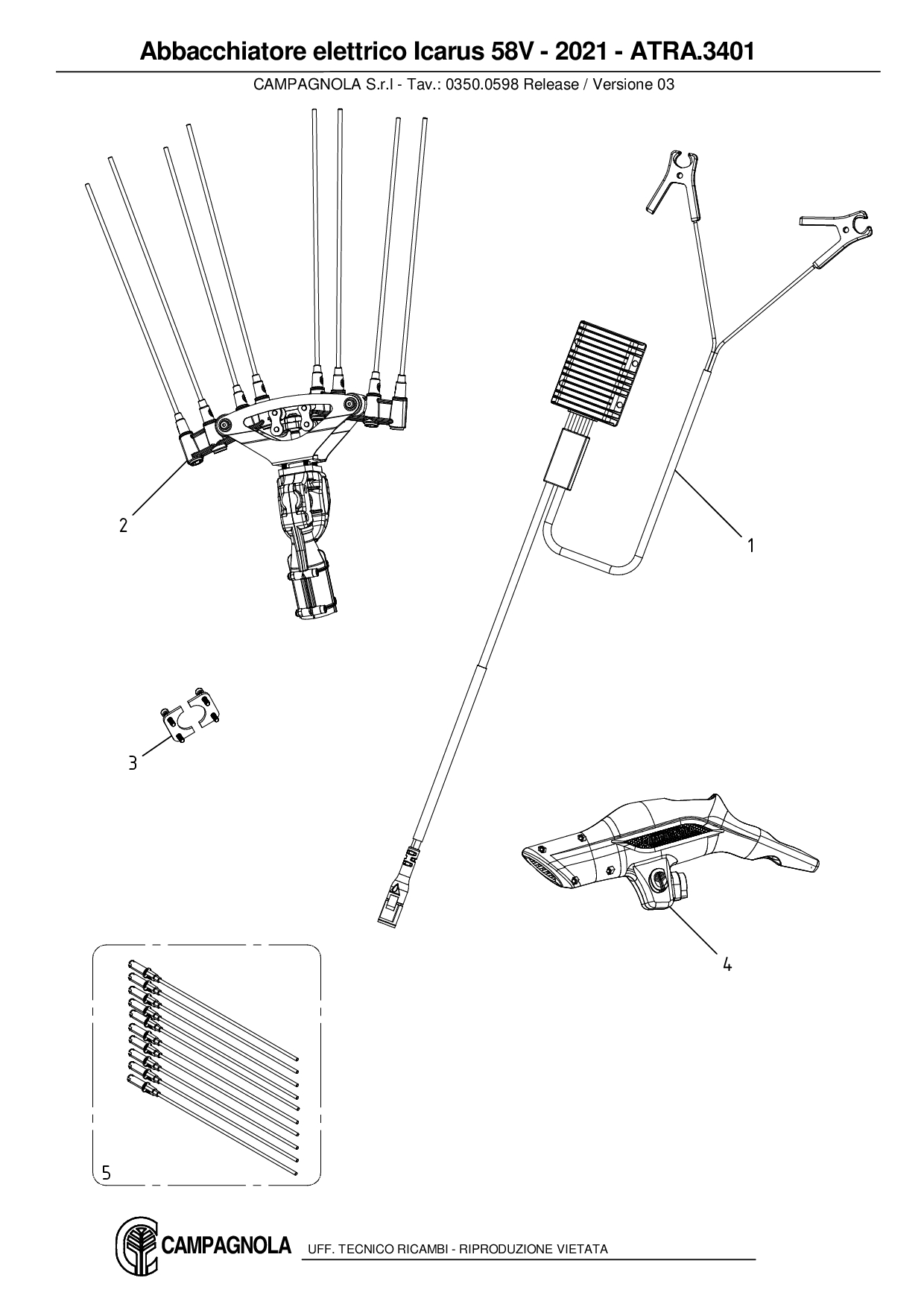 ATRA.3401_Abbacchiatore elettrico Icarus 58V – 2021